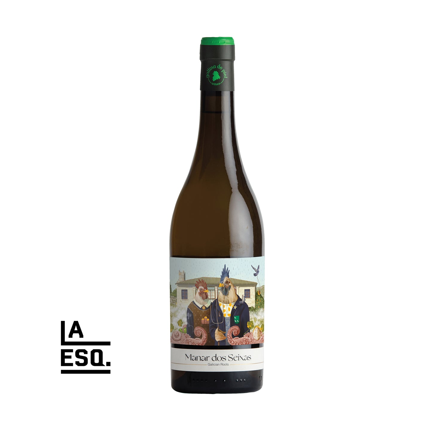 Manar dos Seixas Magnum