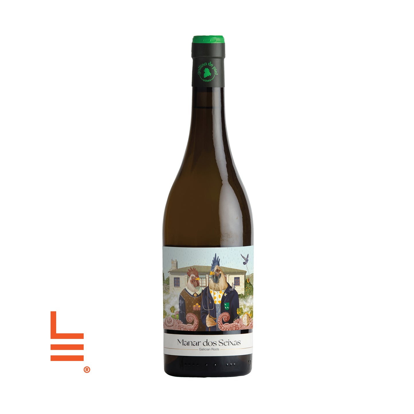 Manar dos Seixas Magnum