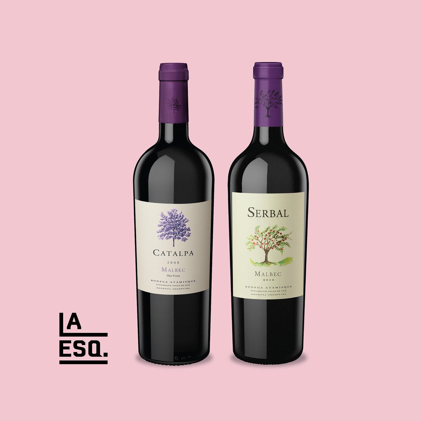PACK ATAMISQUE SERBAL VIOGNER & CATALPA PINOT NOIR , ARG